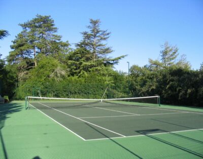 Chateau de Lamostonie